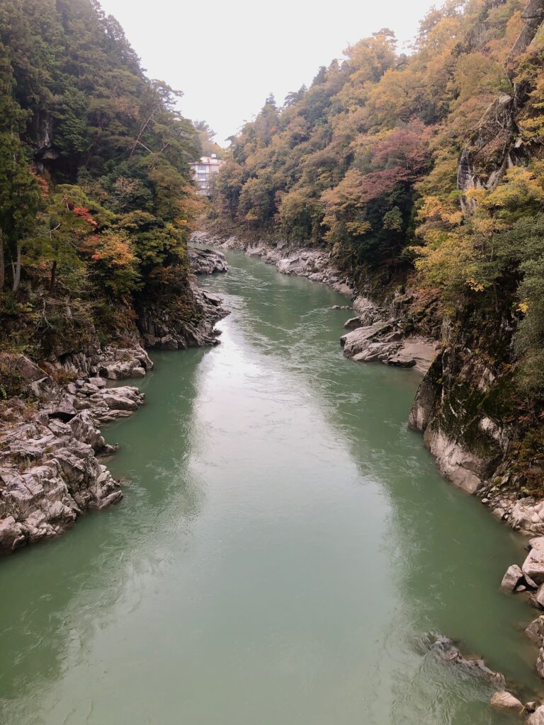 何度見ても天竜川は綺麗です