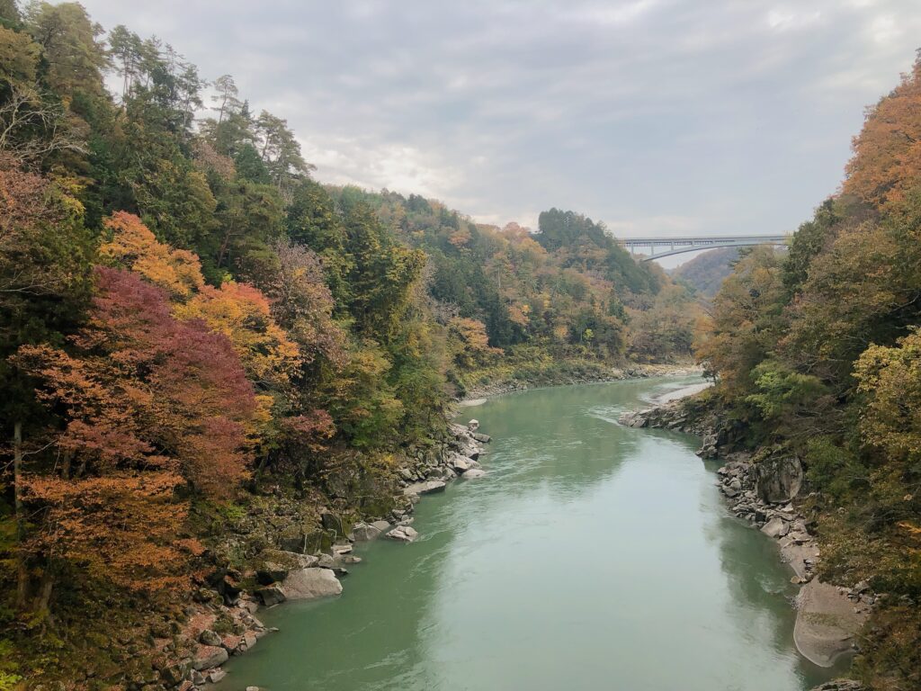 同じような写真を何枚も撮ってしまう