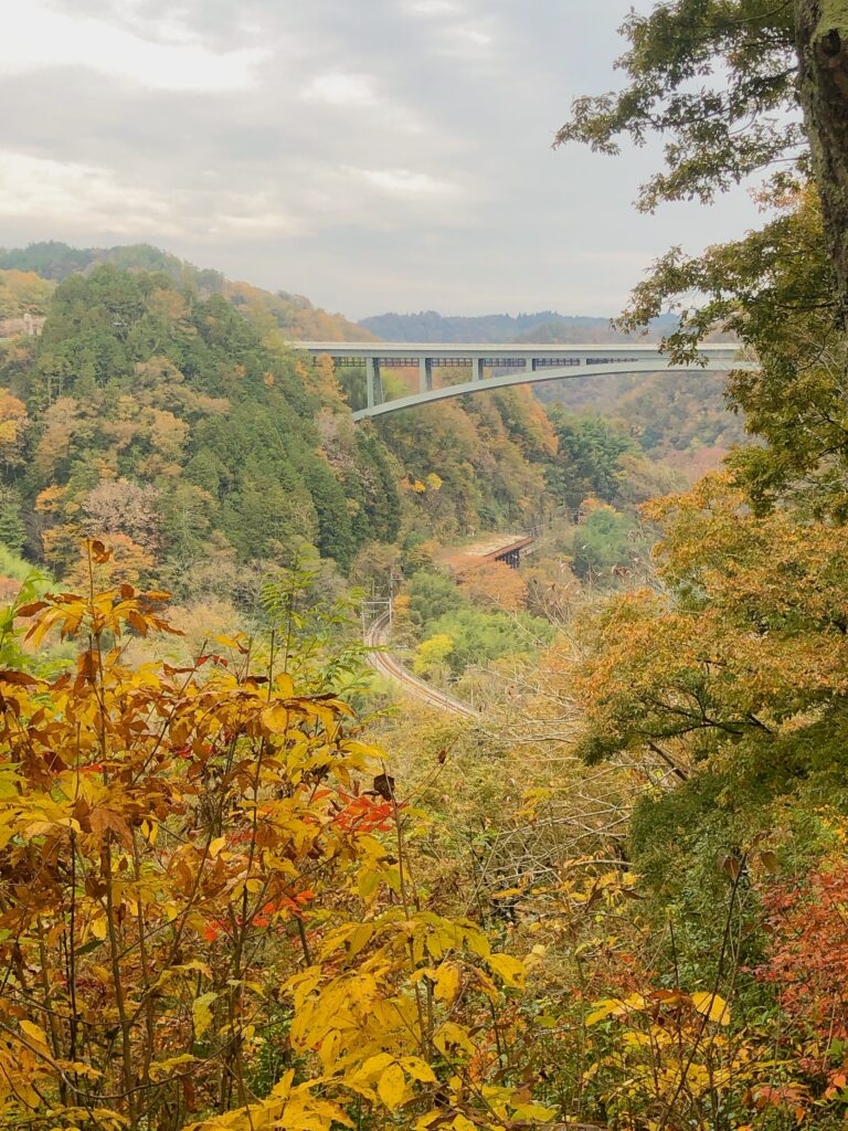 天竜峡大橋とＪＲ飯田線