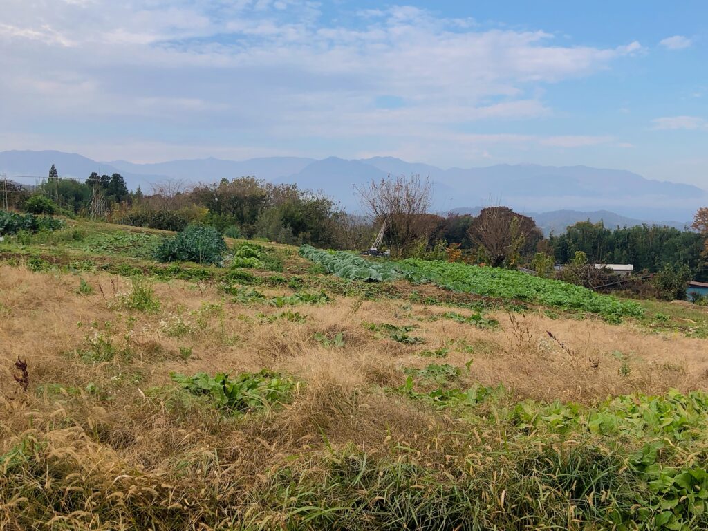 真ん中が飯田市のシンボル「風越山」
その後ろは中央アルプス