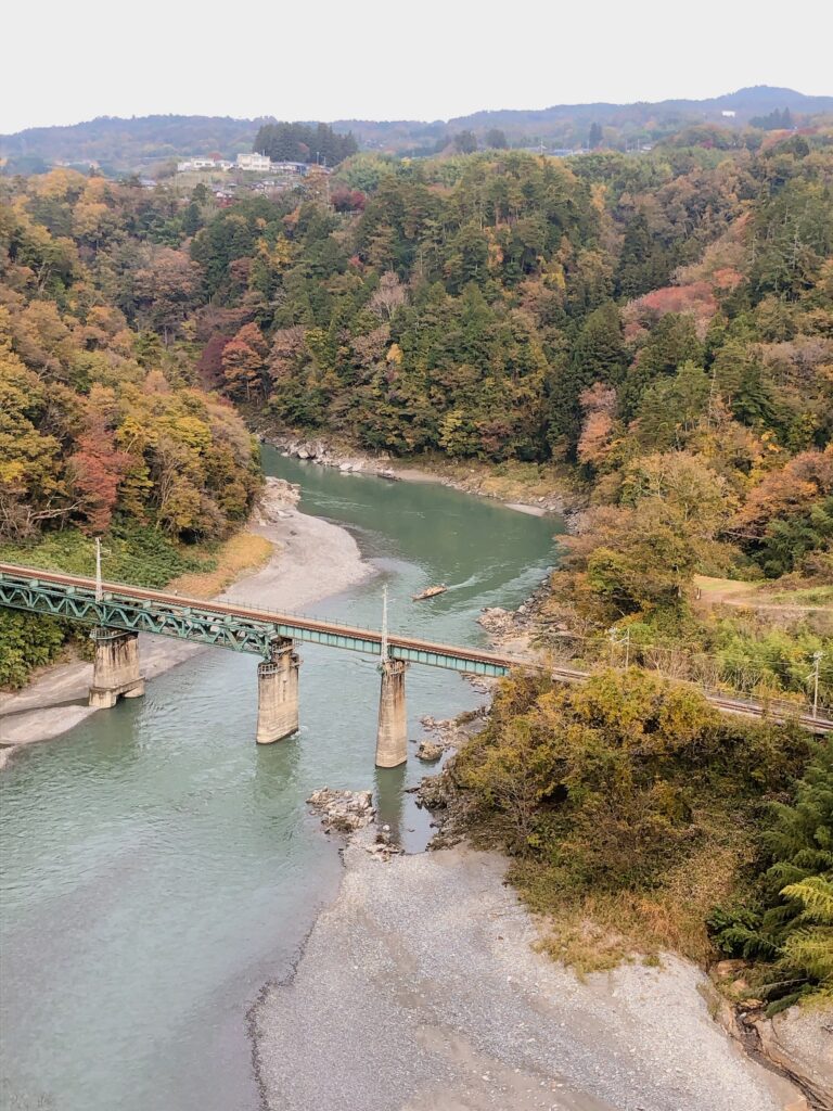 天竜ライン下りの船が来ました
今度乗ってみようかな