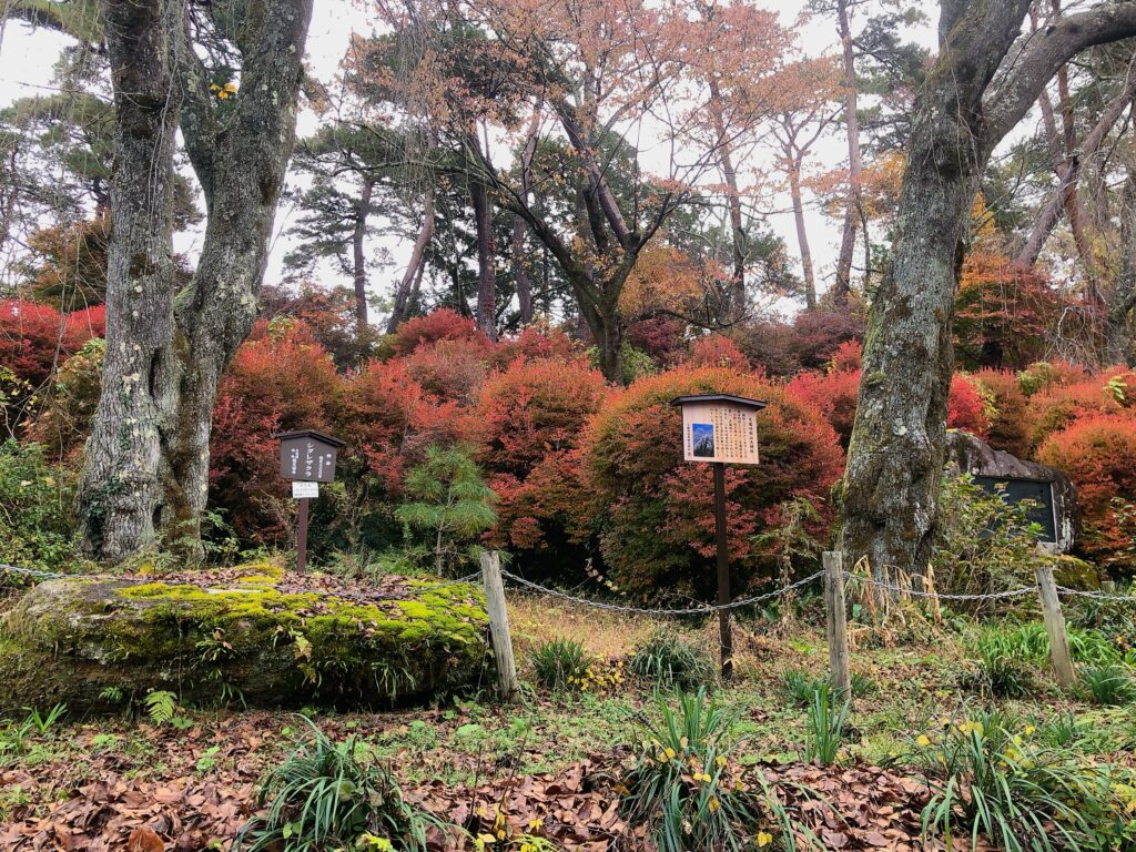 また天竜峡に来たいと思います