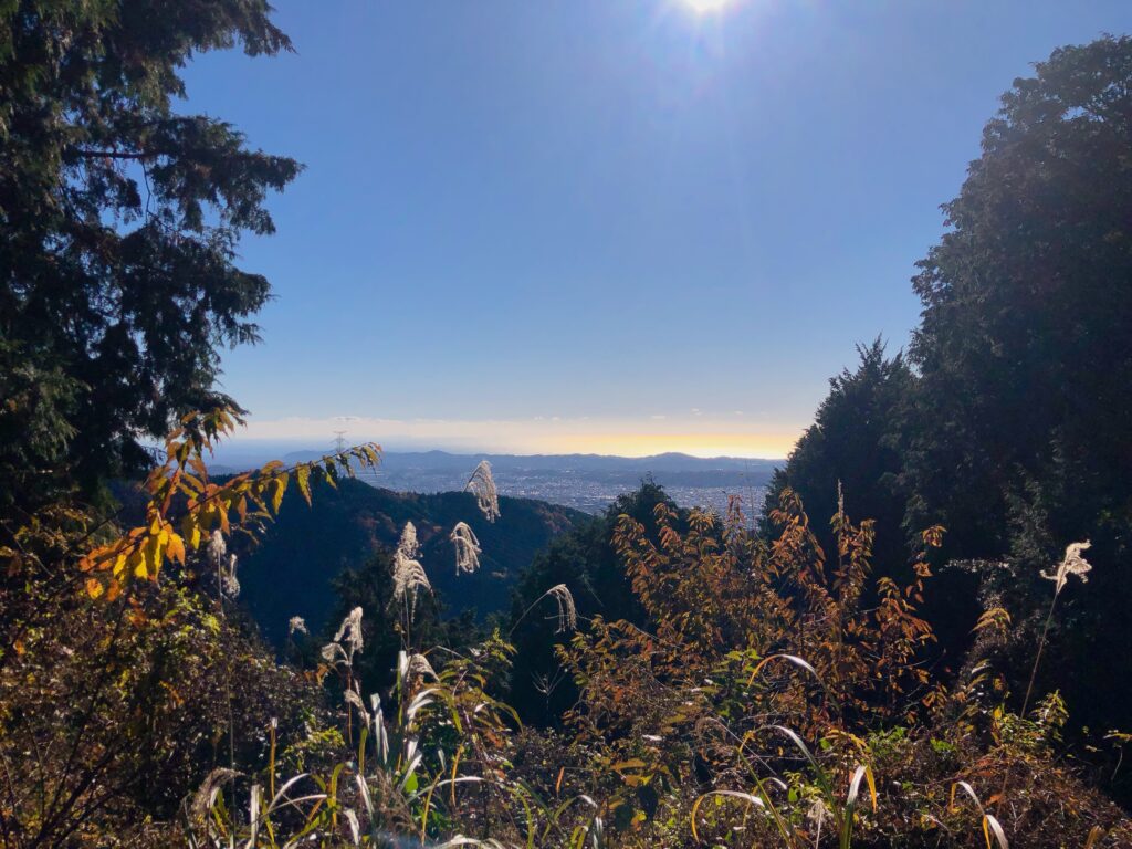 見晴茶屋からの景色