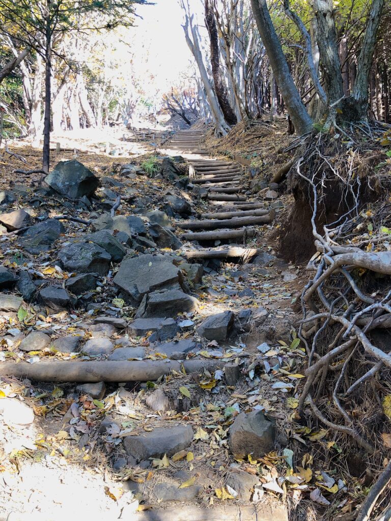 階段地獄が始まりました……