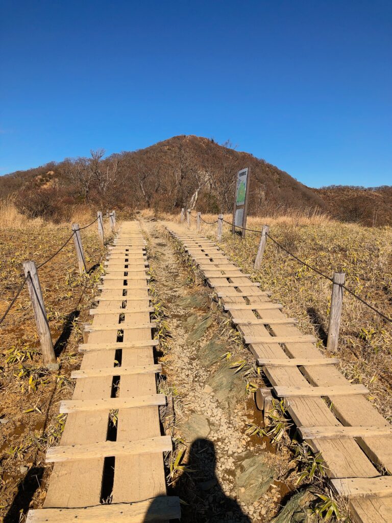 やっと塔ノ岳が見えてきました