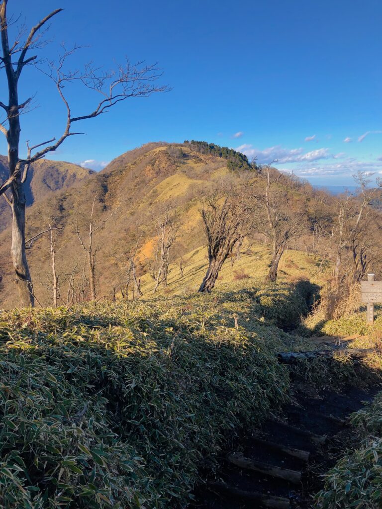 綺麗な稜線を歩いて行きます