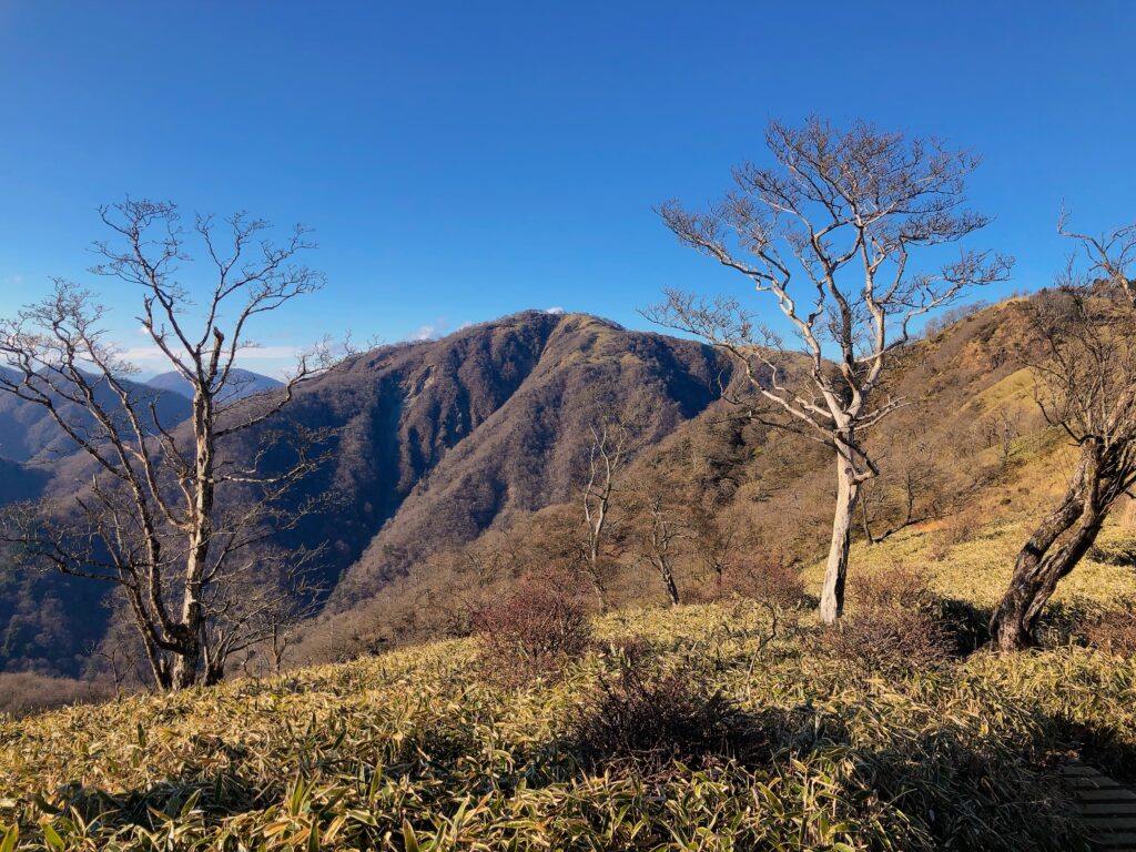 丹沢山まで稜線が続きます