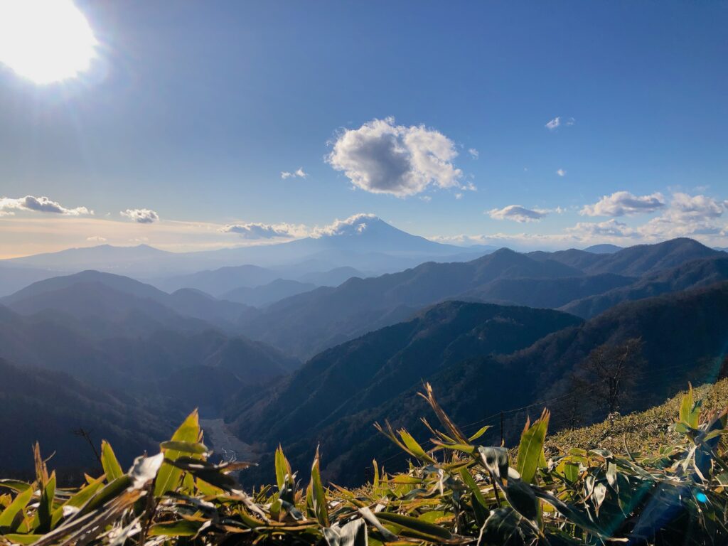 富士山を見ながら歩いていきます