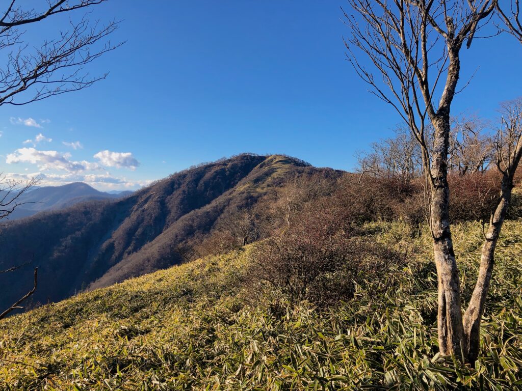 丹沢山まであと少し