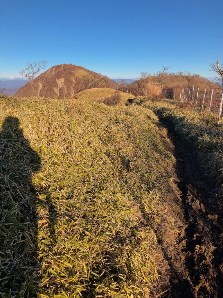 蛭ヶ岳まで稜線が続きます