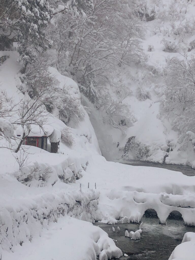 白銀の滝
この後は天童温泉に戻り、翌日は蔵王温泉へ移動しました