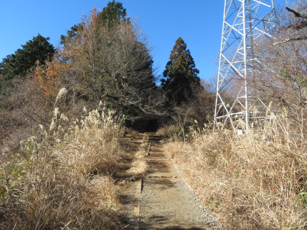 いつもの撮影ポイント