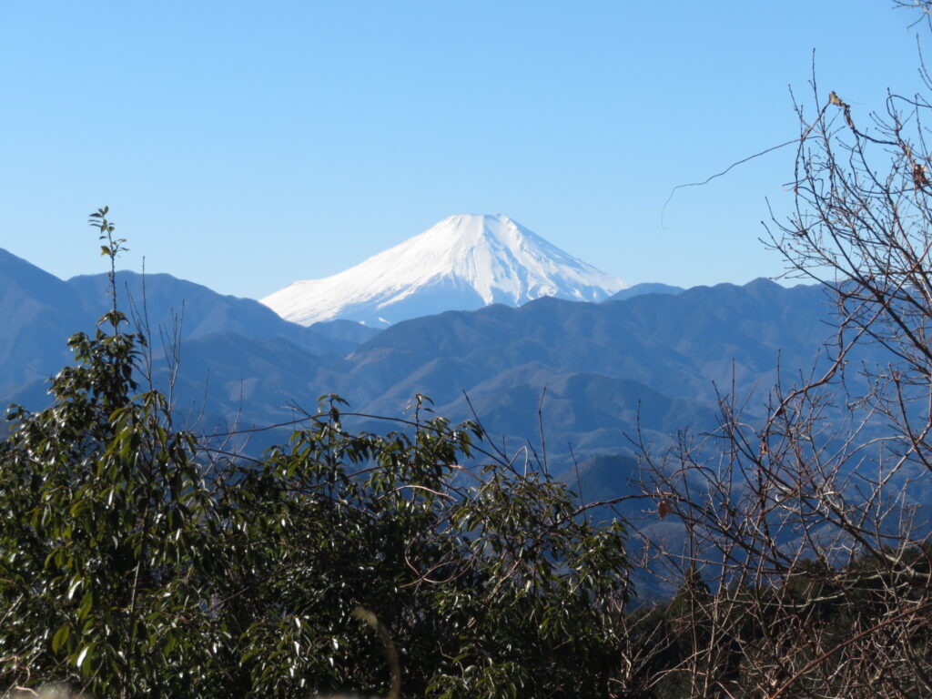 冬の富士山が最高ですね！