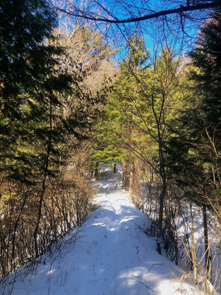 雪道を登っていきます