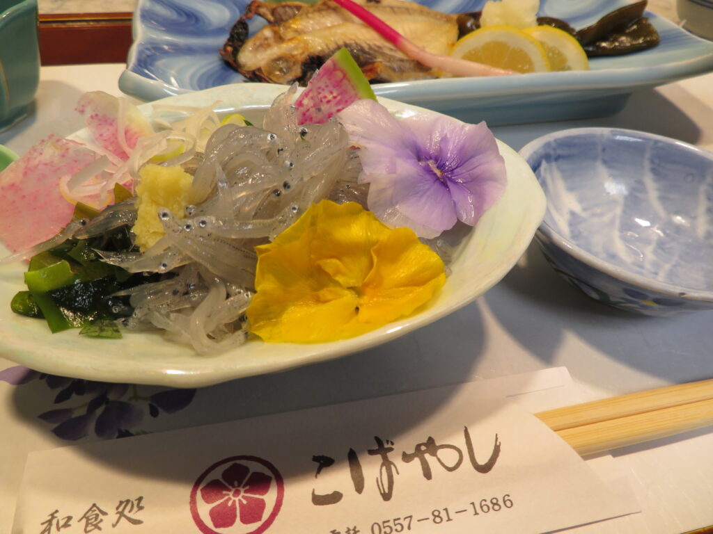 生シラスが美味しかった！