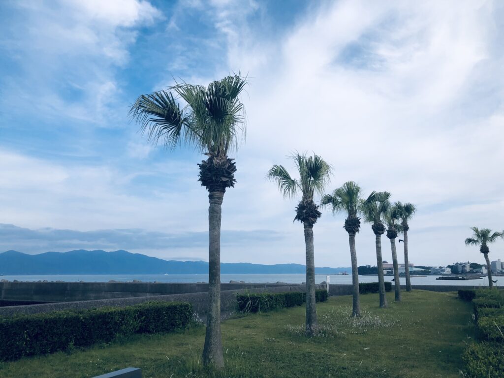 指宿港に到着
