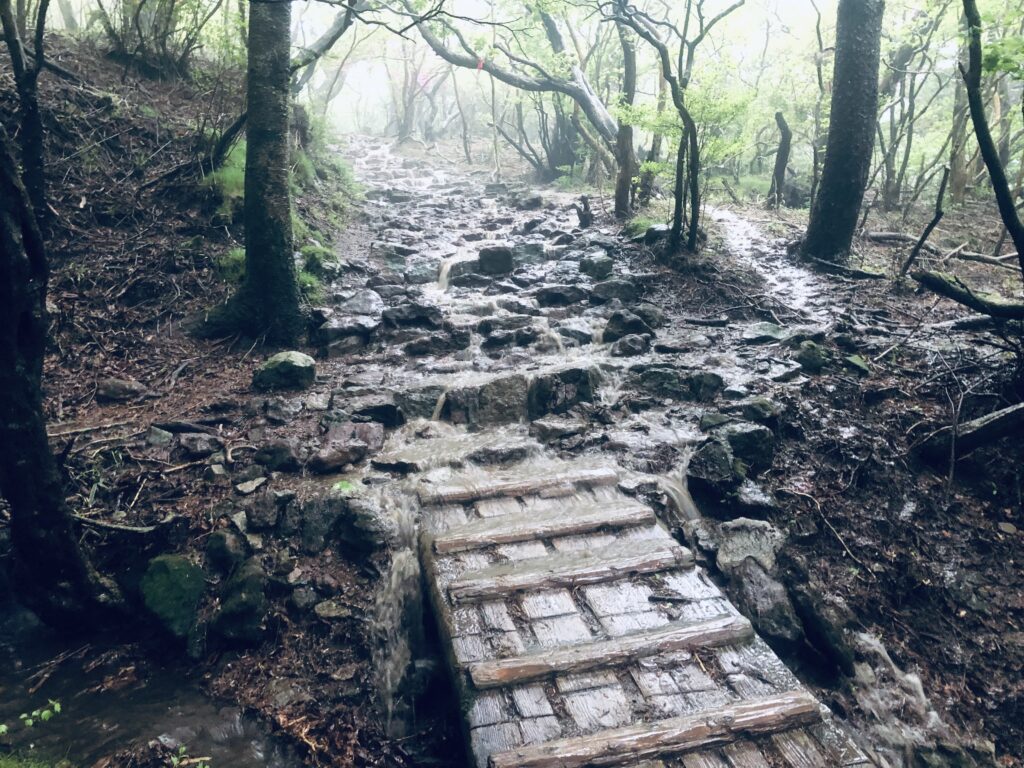雨の中、滑らないように進みます