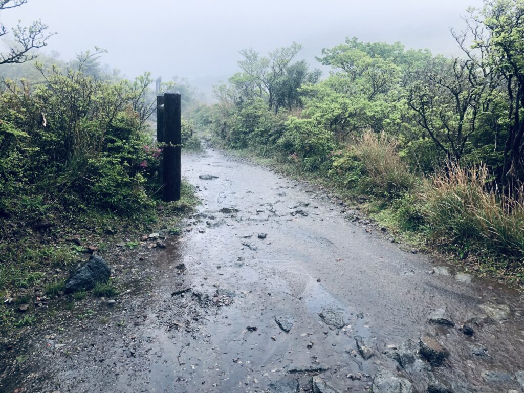 大浪池の周回は平坦な道が続きます