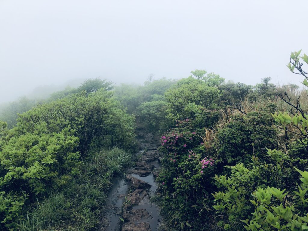 天気が良ければ絶景ポイントのはず