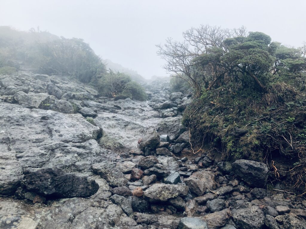 最後の方は岩場があります