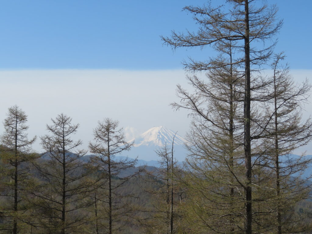 少し歩くと綺麗な富士山が見える場所があります