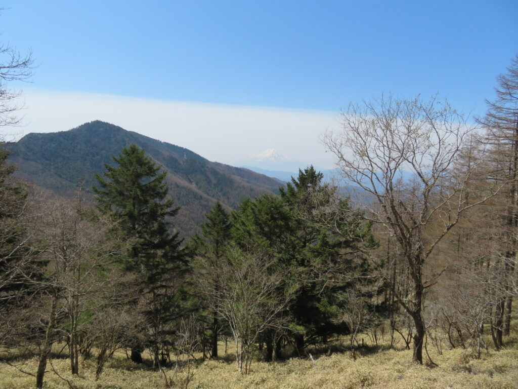 開けた場所にでました
絶景が広がります
霞んでますが正面に富士山