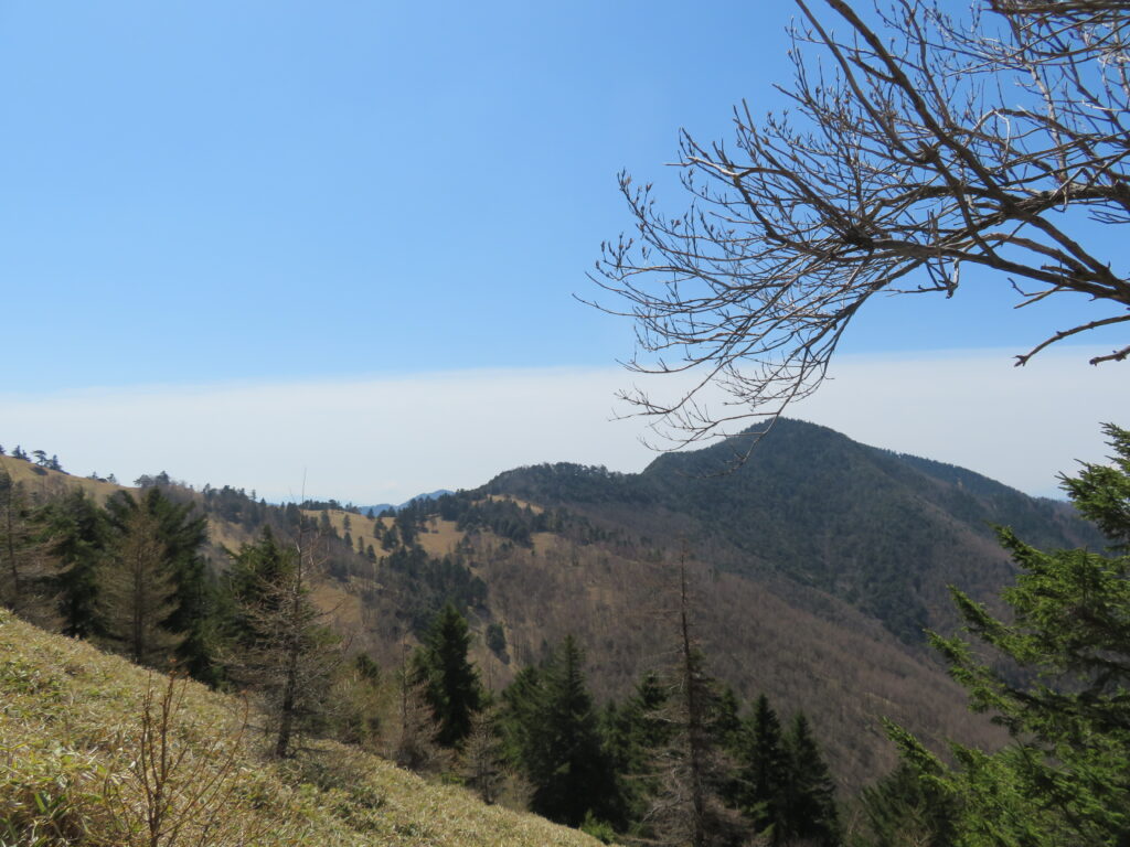 石丸峠から小金沢山への稜線
稜線好きにはウキウキがとまりません