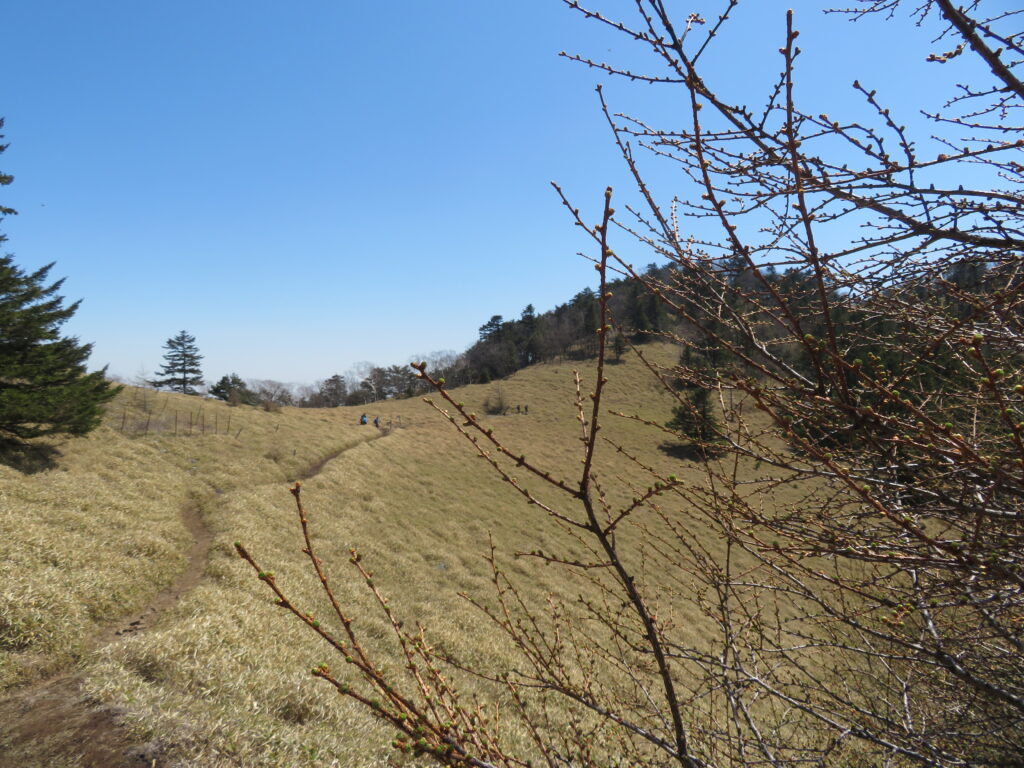 石丸峠に到着