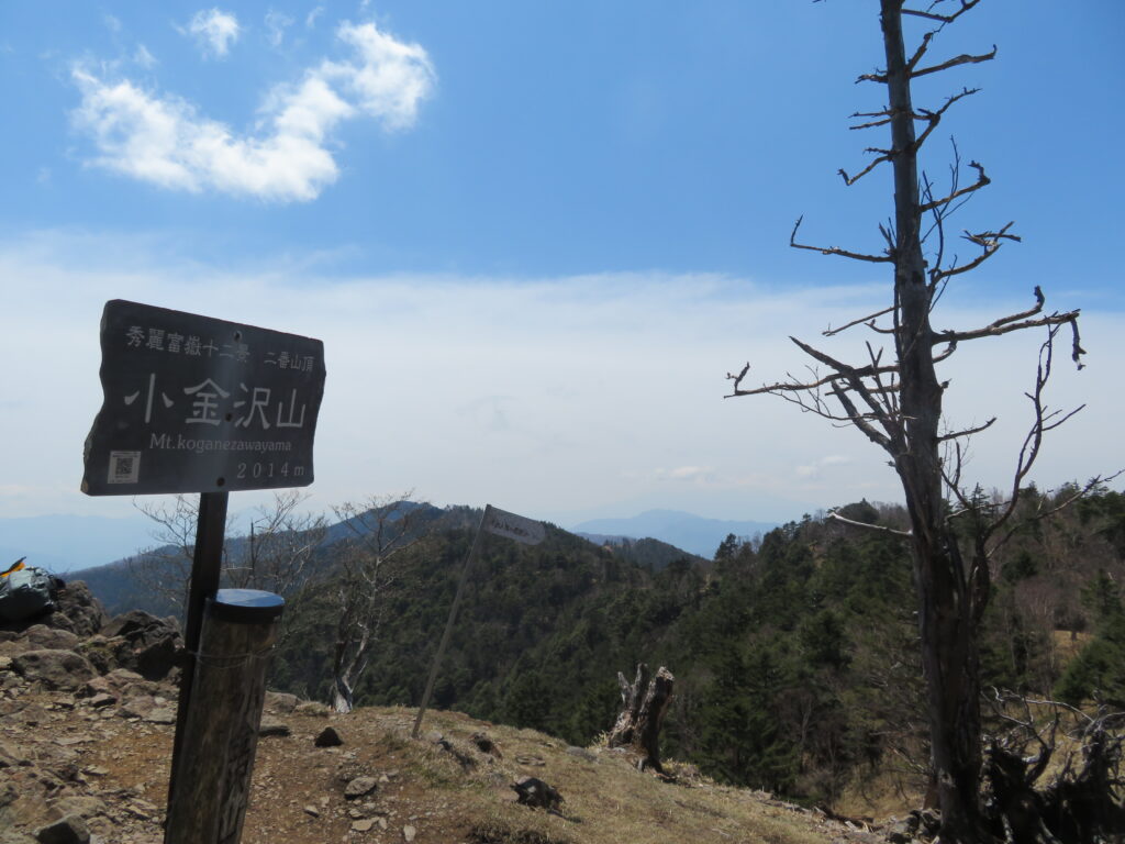 小金沢山に到着