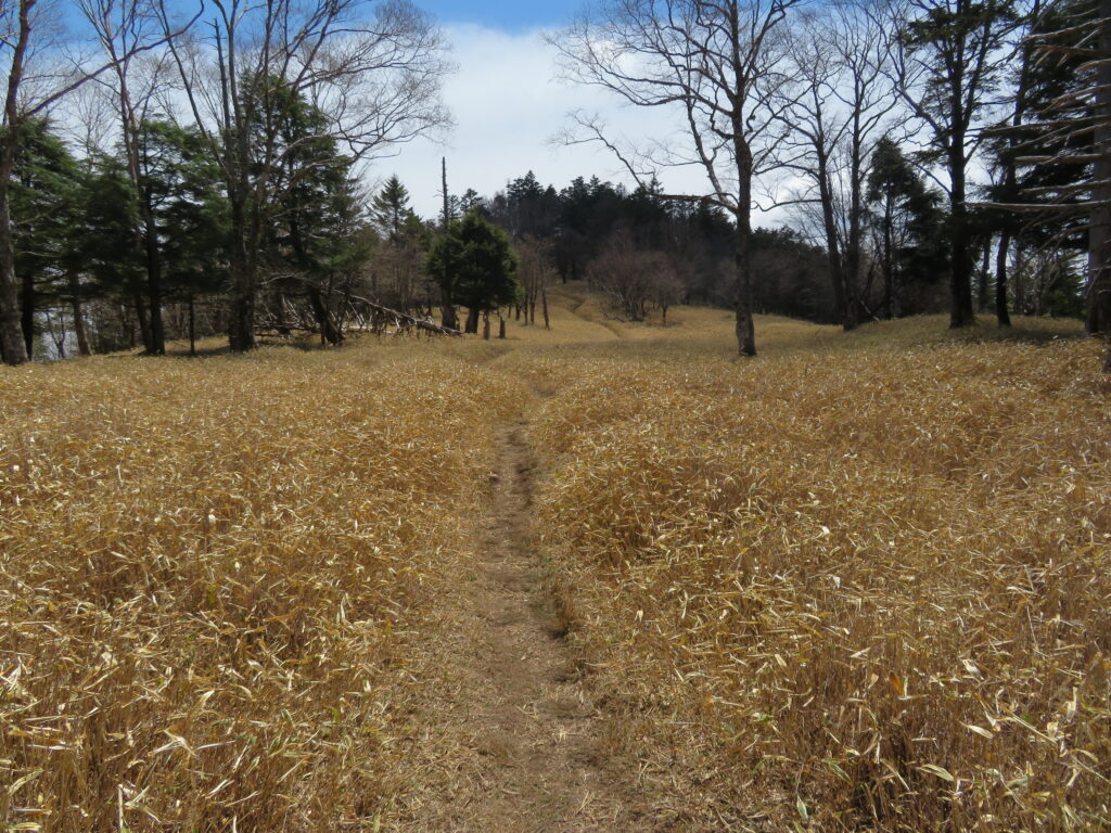 牛奥ノ雁ヶ腹摺山まであと少し