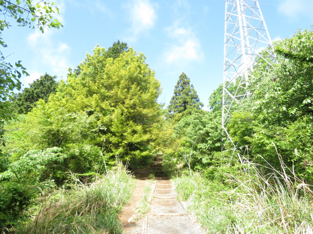 いつもの撮影場所