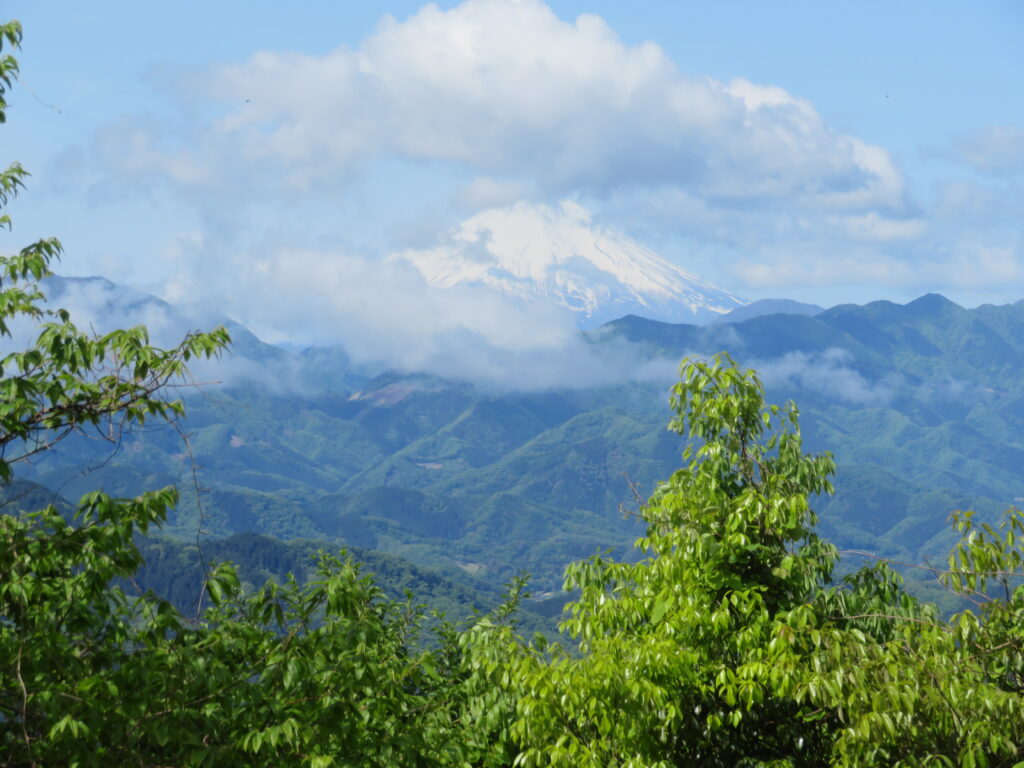 一丁平から富士山が久しぶりに見えた