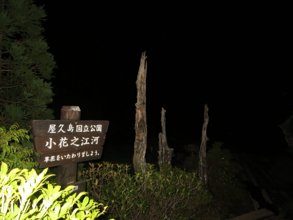 【二日目】
3時半に淀川小屋を出発
しばらく歩くと小花之江河という場所にでます