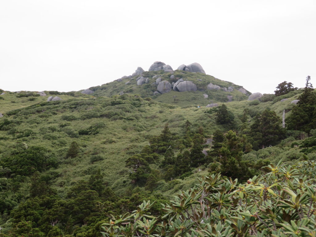 安房岳? 翁岳? 栗生岳?
この辺りはピークが多い