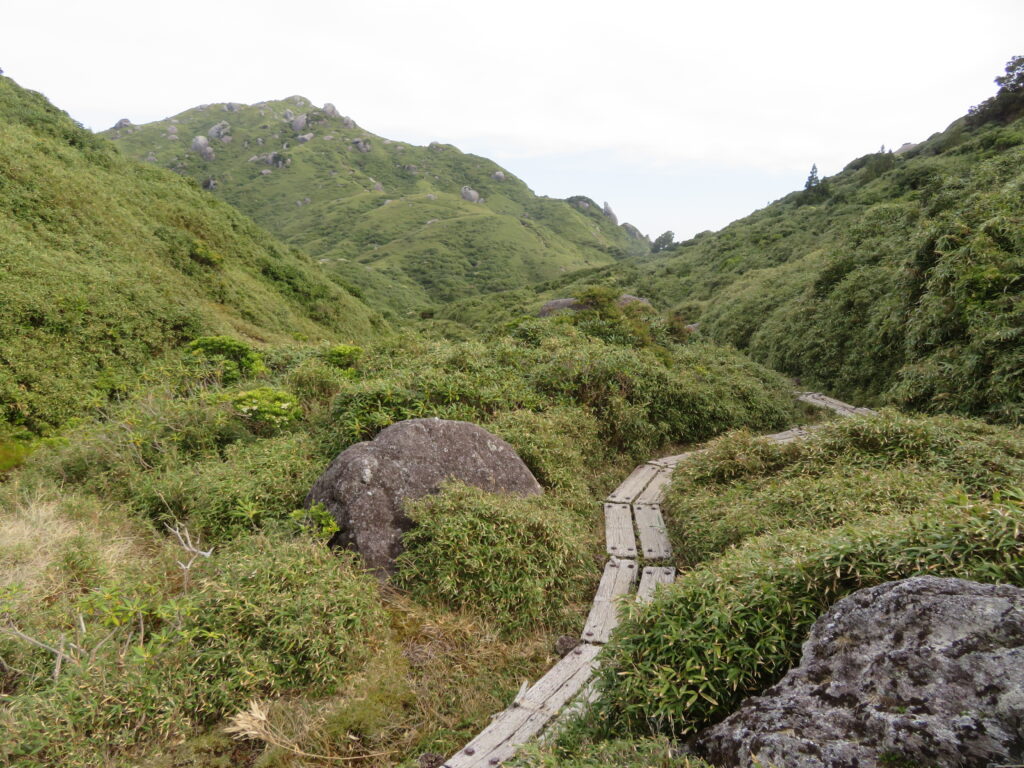 気持ちいい縦走路が続きます