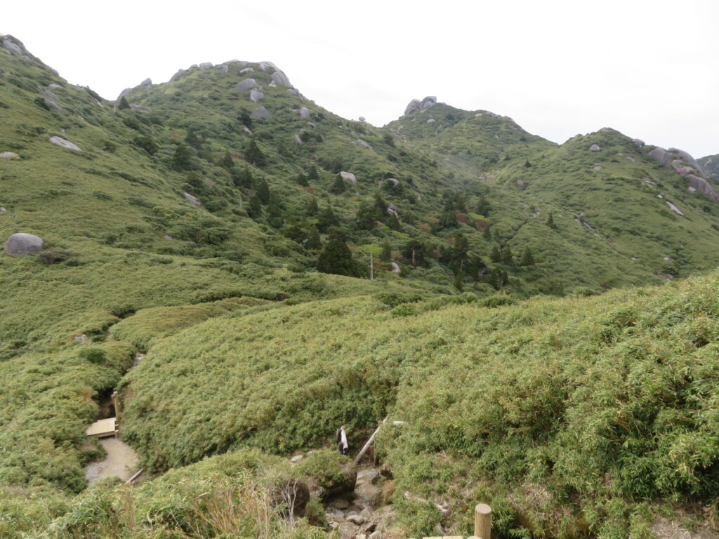 気持ちいい縦走路がまだ続きます