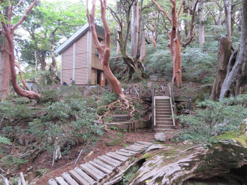 高塚小屋に到着
小さいですが綺麗な小屋
