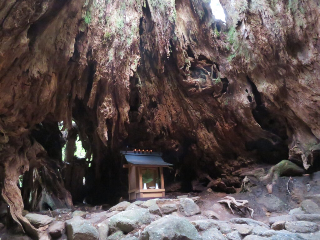 ウィルソン株の中
神秘的です