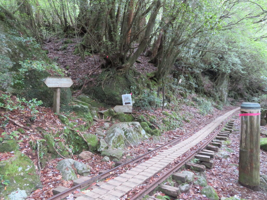 楠川分かれ
トロッコ道に飽きてぼーっとしてたら通過してしまいそうに