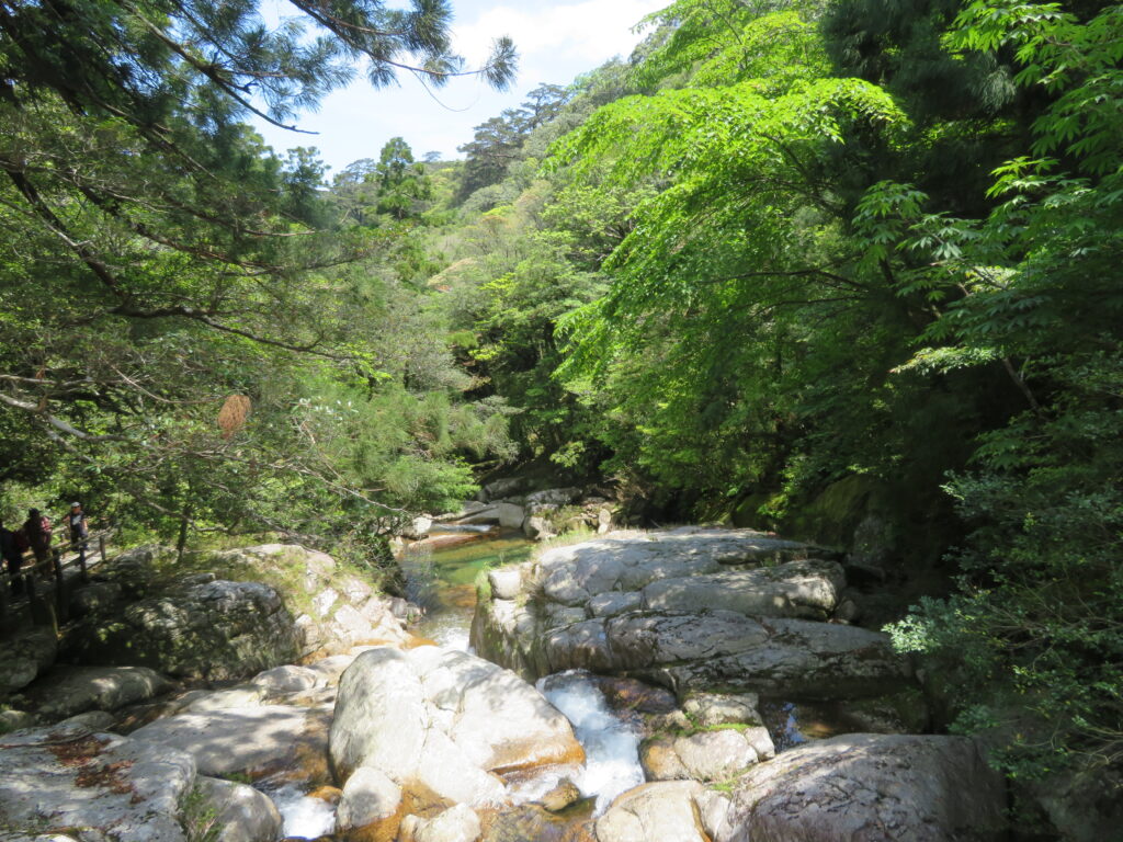 川沿いを歩いていきます