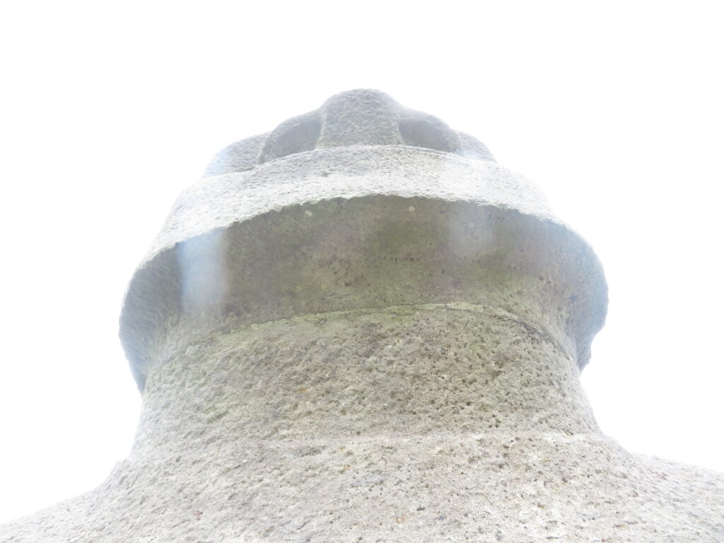 鼻の穴