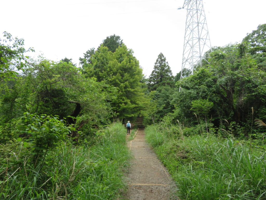いつもの撮影場所