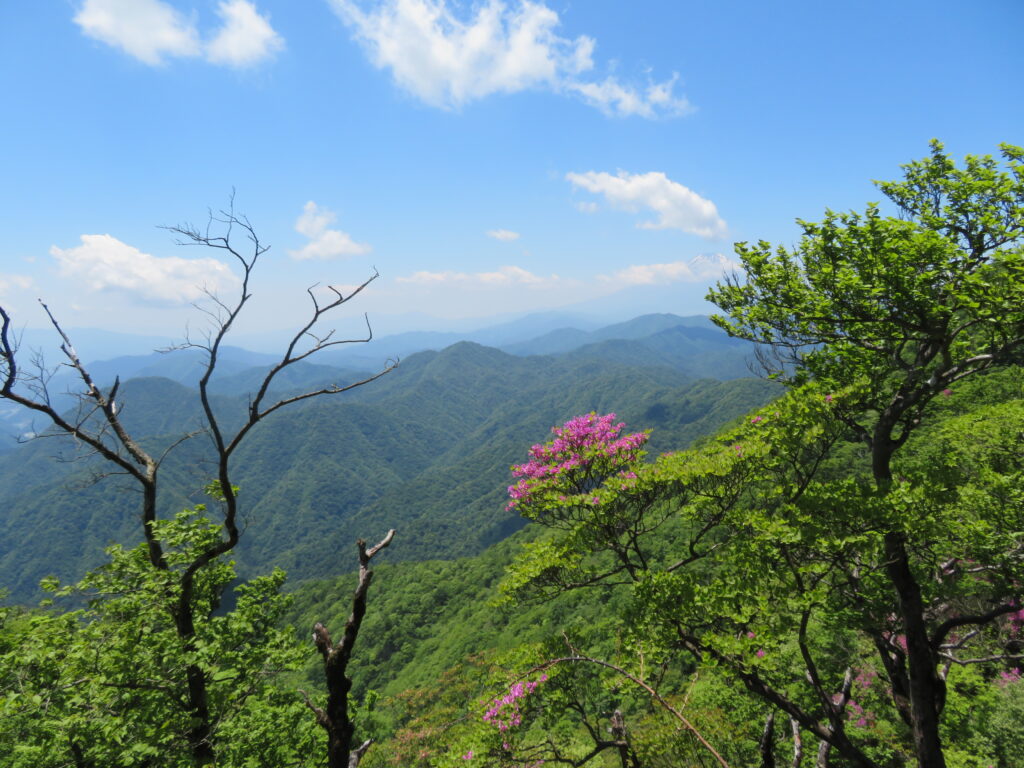 最高の天気でした！