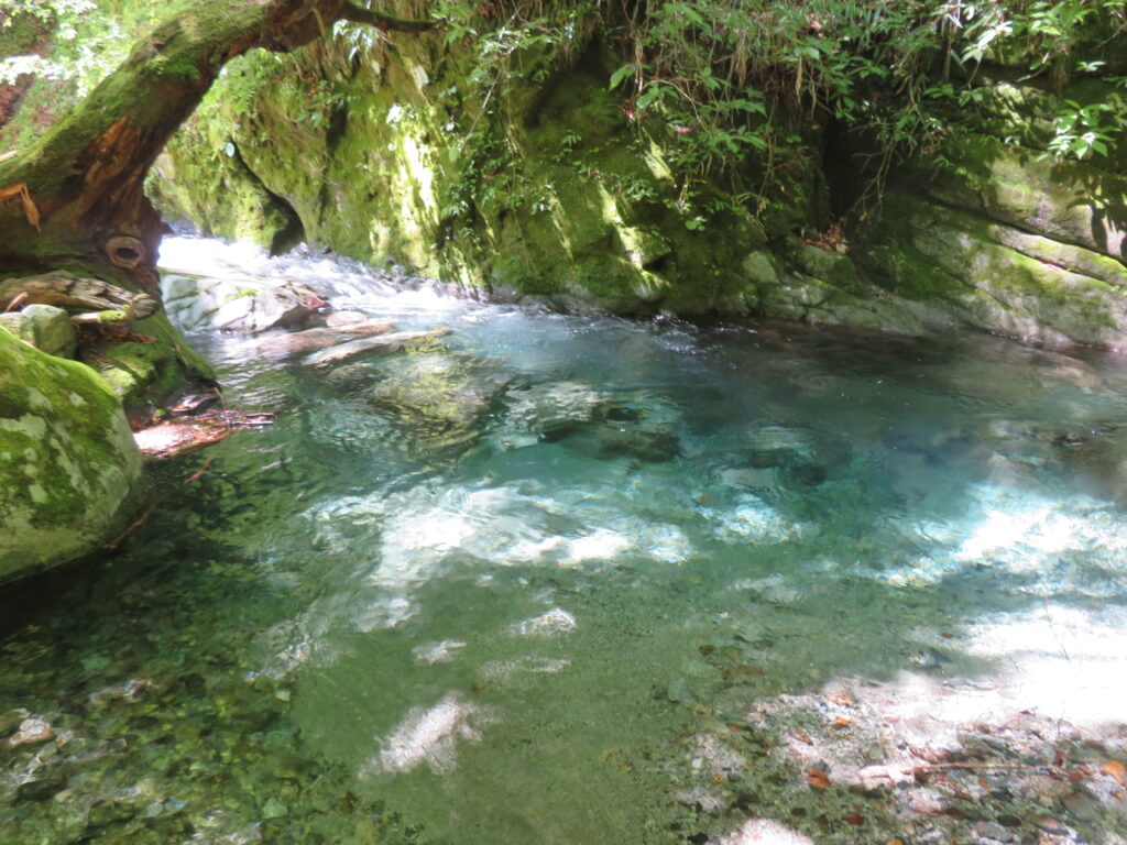 水がホント綺麗