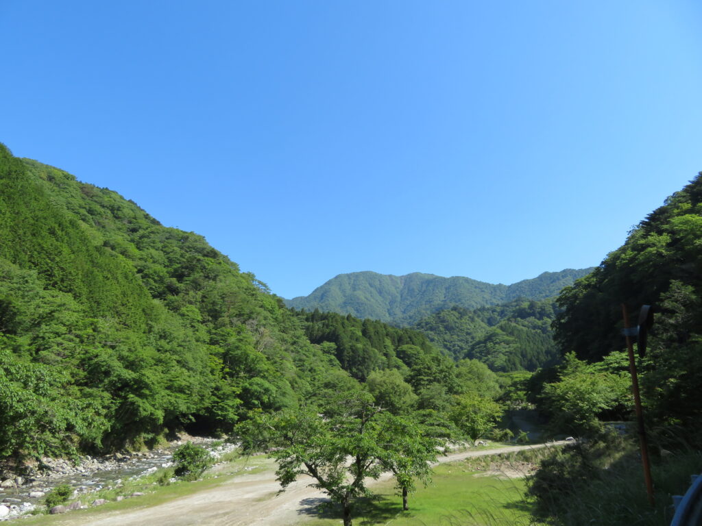おそらく正面が大室山