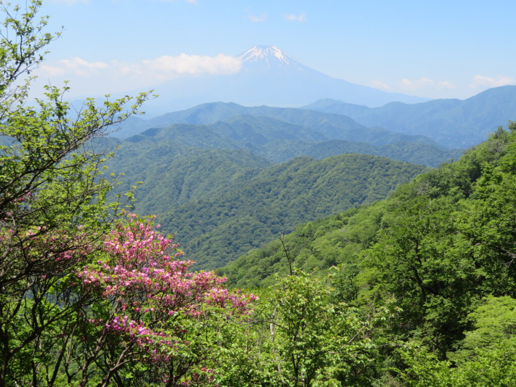 ここからの富士山は最高