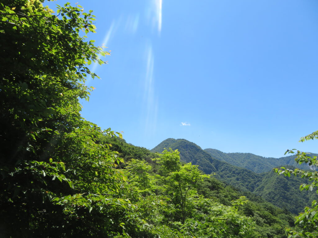 急登がきつかった・・・
檜洞丸がすぐそこです