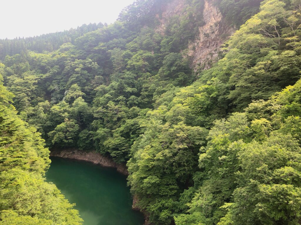 ここから飛ぶ感じですね