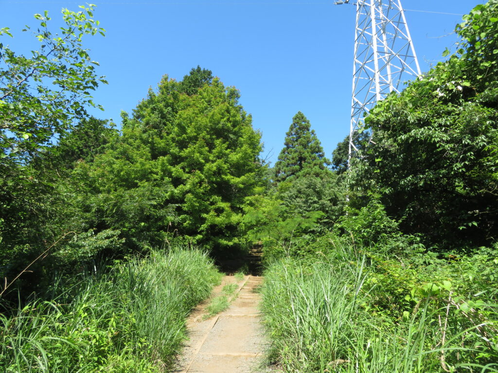 いつもの撮影場所