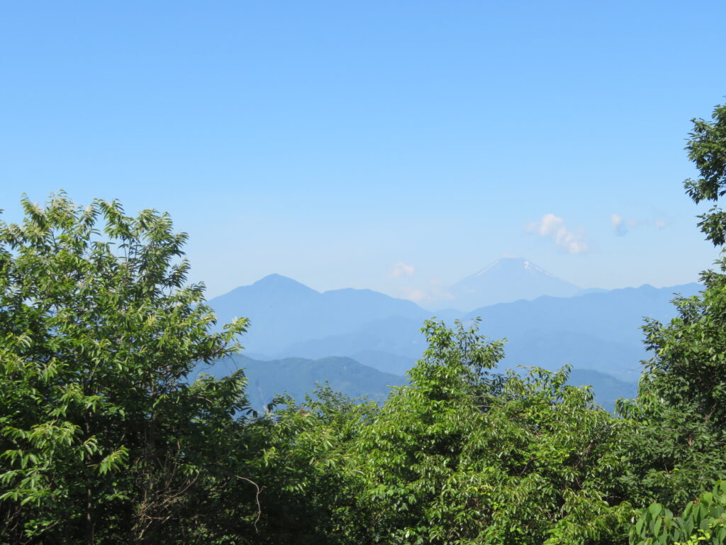 前回登った大室山
こう見ると大きいですね